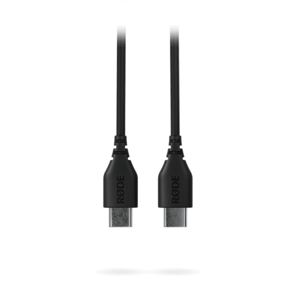 SC22 USB-C Cable (30cm)