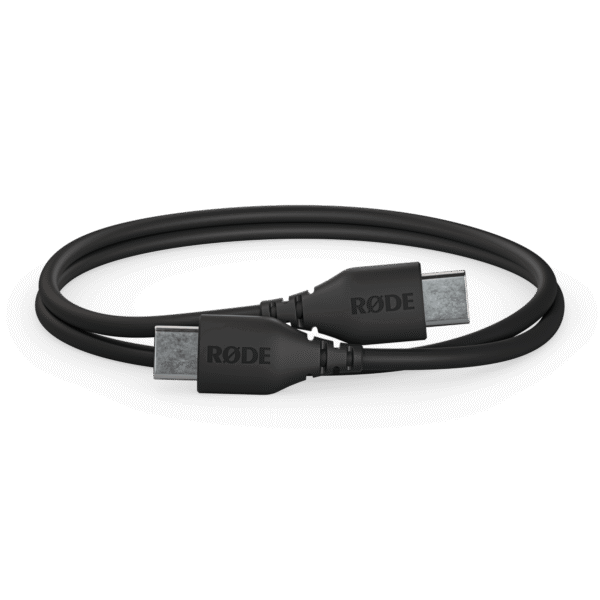 SC22 USB-C Cable (30cm)